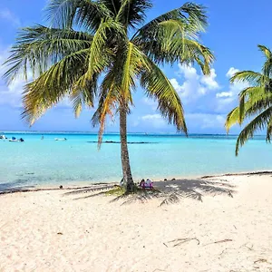 Moorea - Tropical Soul Holiday home Hauru